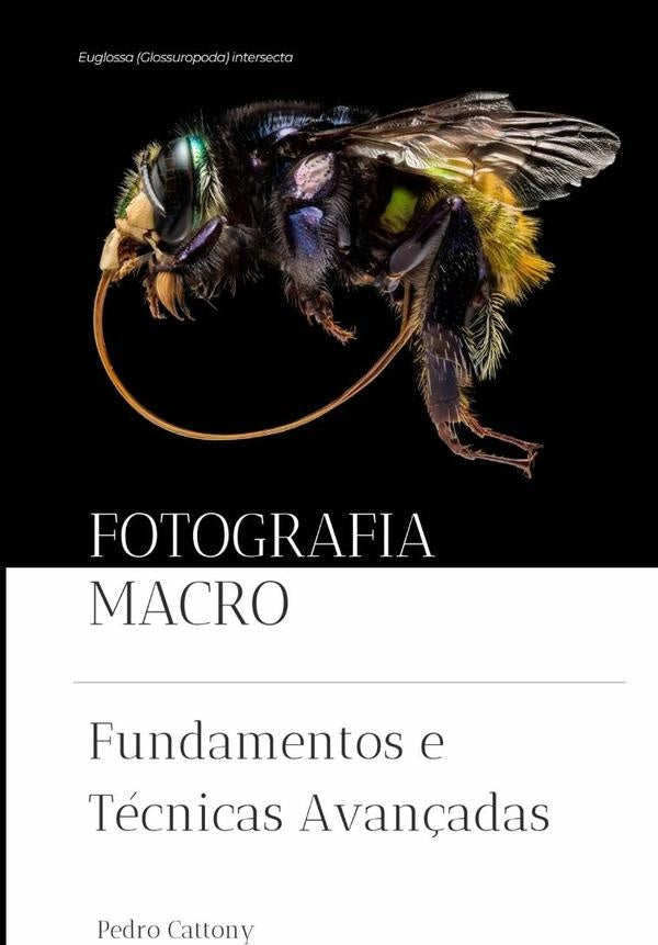 Fotografia Macro | Pedro Cattony