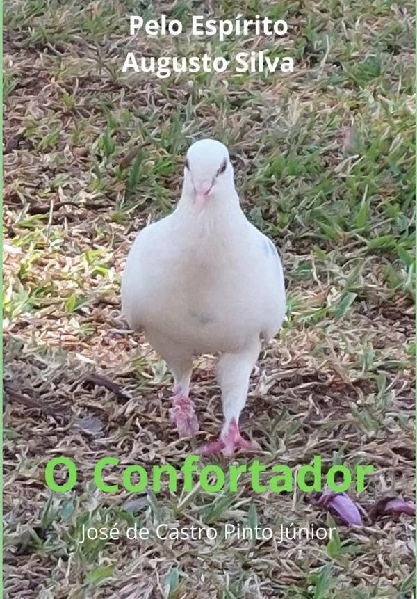 O Confortador | JoseDeCastroPinto Junior