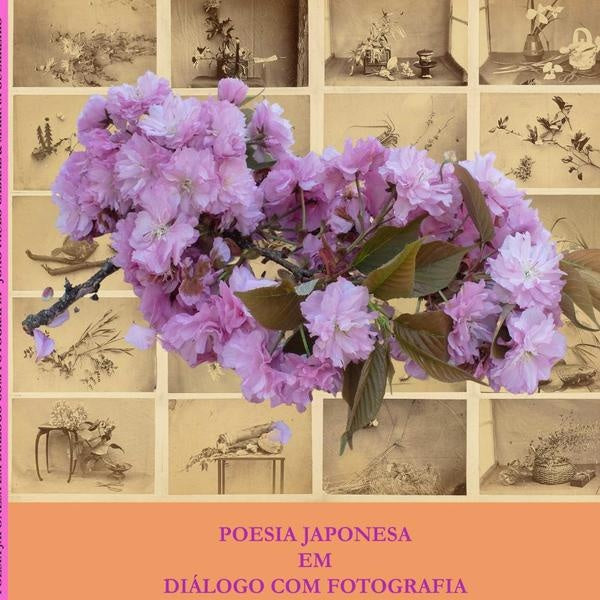 Poesia Japonesa Em Dialogo Com Fotografia | PauloDeSousa Cabral