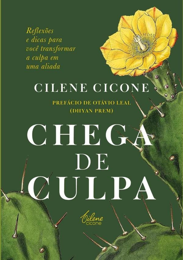Chega De Culpa | Cilene Cicone