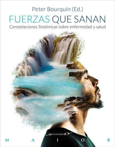 Fuerzas que sanan. Constelaciones sistemicas sobre enfermedad y salud | Raquel Schlosser