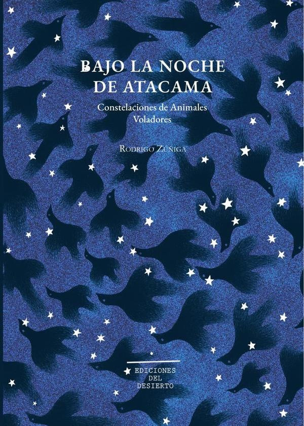 Bajo la noche de Atacama | Rodrigo Zu?iga