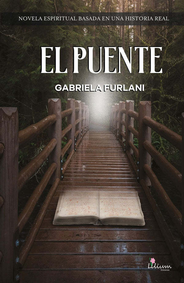 El puente | Gabriela Furlani