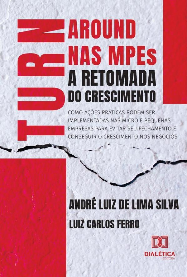 Turnaround nas MPEs - A Retomada do Crescimento | AndreLuizdeLima Silva