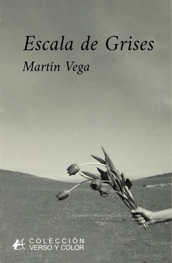 Escala de grises | Martin Vega