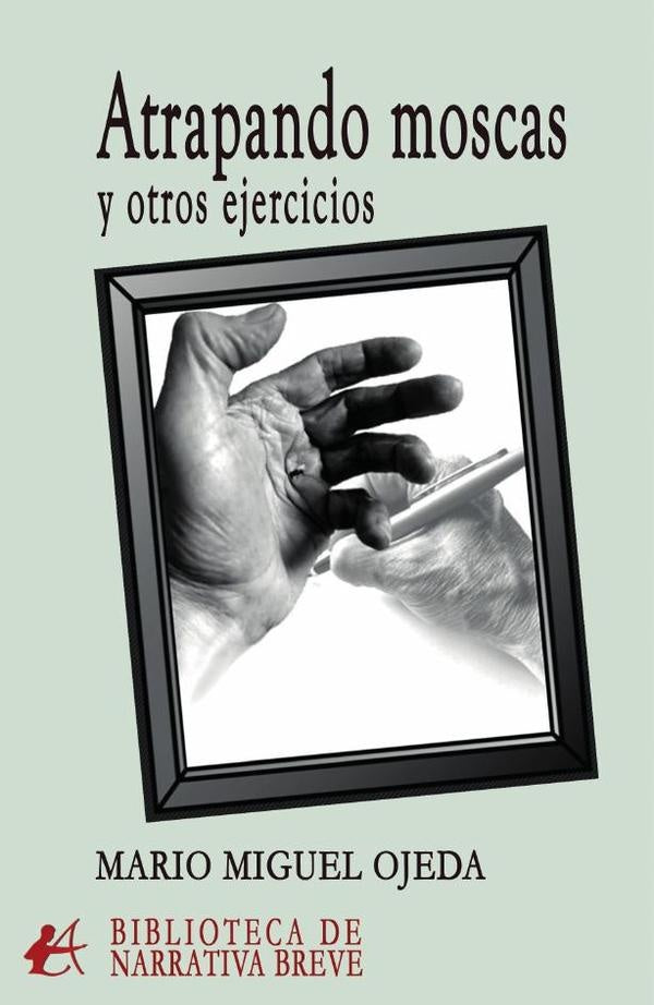 Atrapando moscas y otros ejercicios | MarioMiguel Ojeda