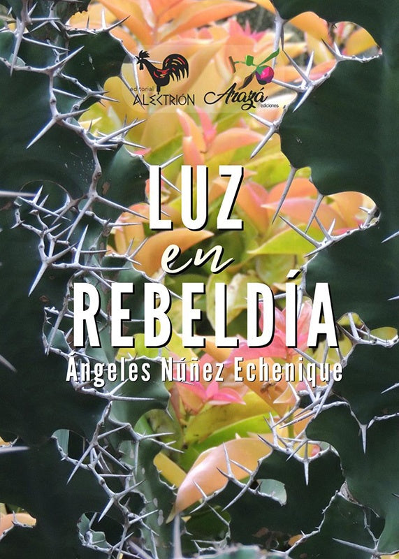 Luz en rebeldia | angelesNu?ez Echenique