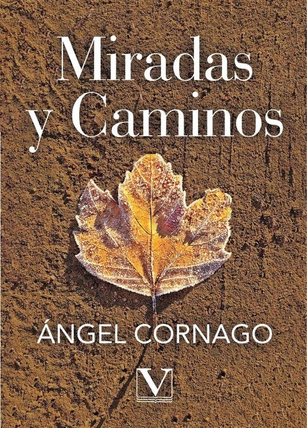 Miradas y caminos | angel Cornago