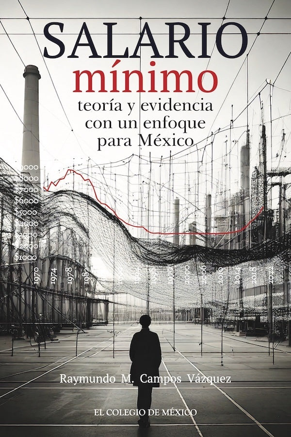 Salario minimo: | RaymundoM.Campos Vazquez