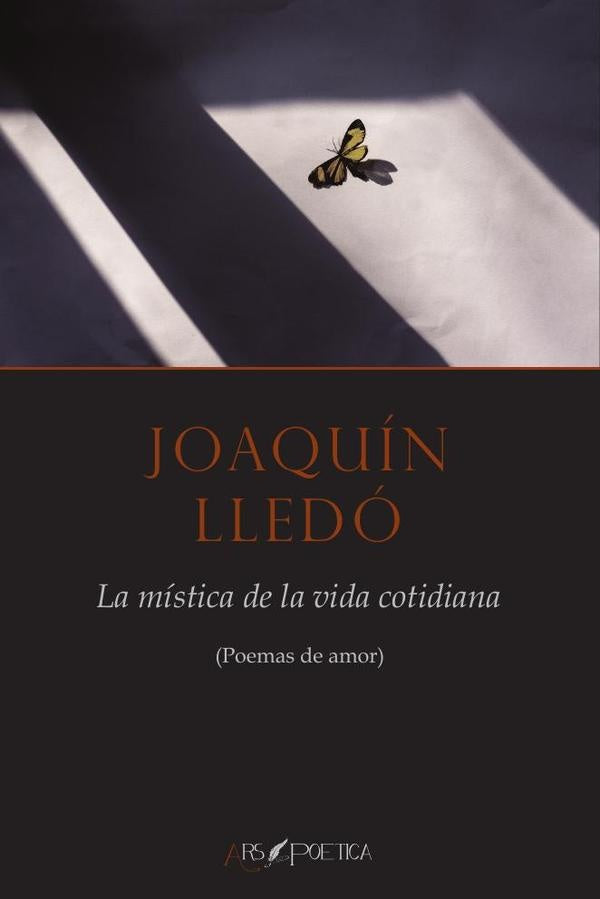 La mistica de la vida cotidiana | Joaquin Lledo
