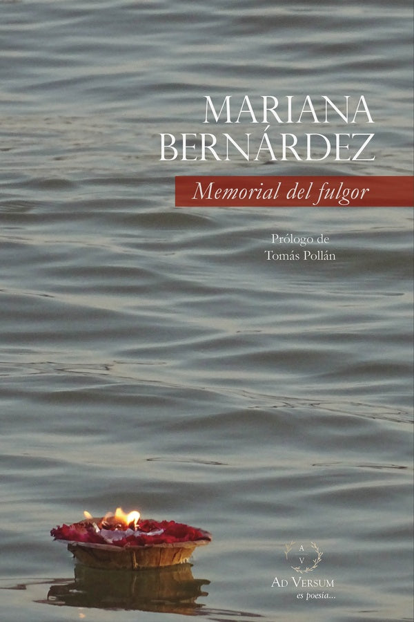 Memorial del fulgor | Mariana Bernardez