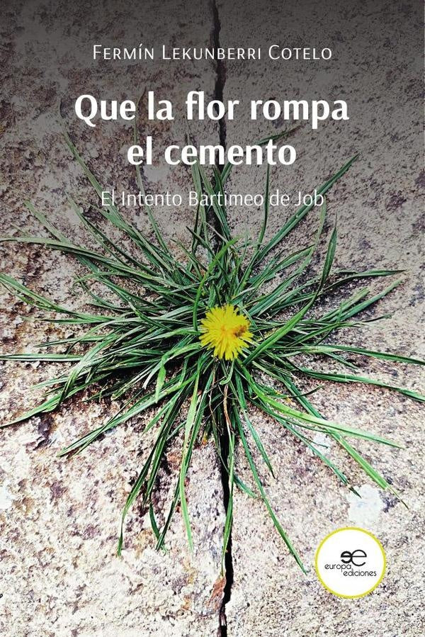 Que la flor rompa el cemento | FerminLekunberri Cotelo