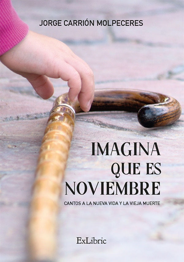 Imagina que es noviembre | JorgeCarrion Molpeceres