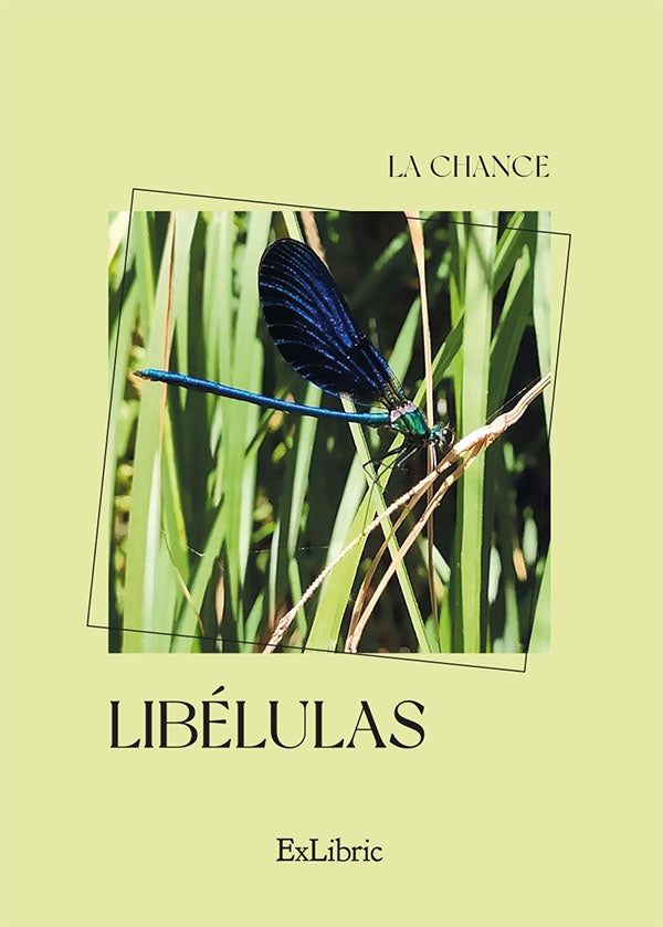 Libelulas | La Chance