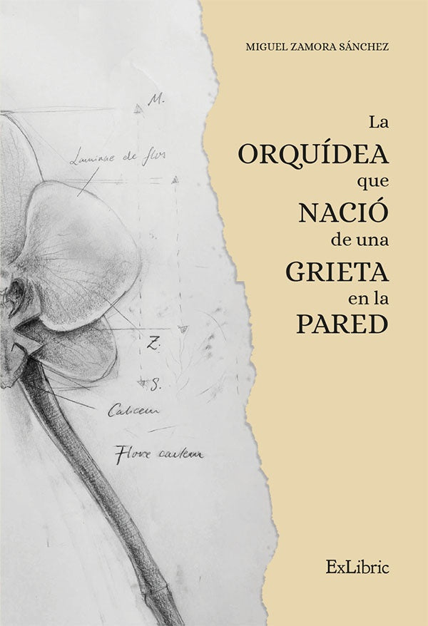 La orquidea que nacio de una grieta en la pared | MiguelZamora Sanchez