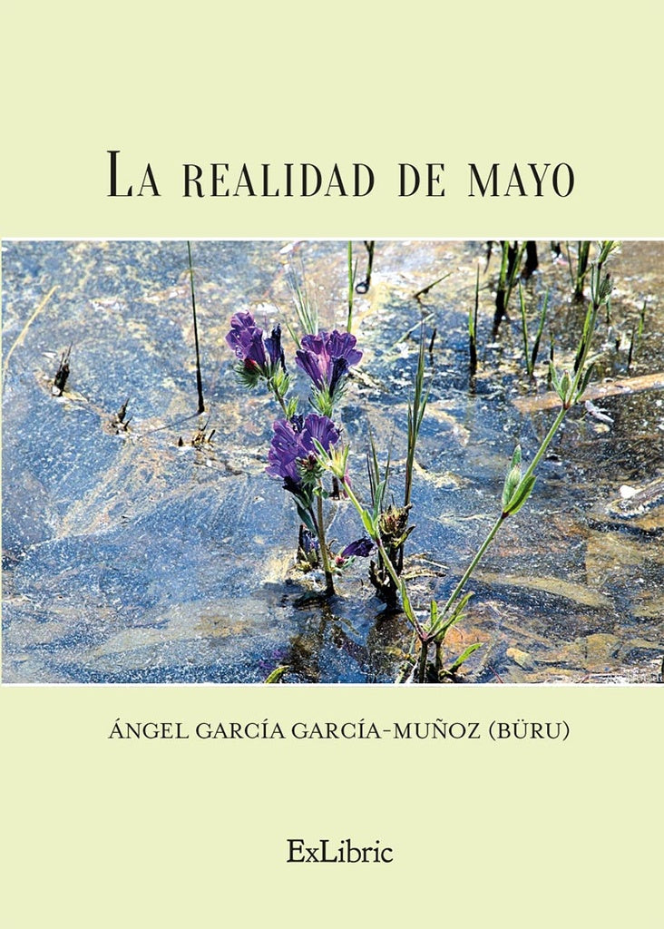 La realidad de mayo | AngelGarciaGarcia-Mu?oz (B?RU)