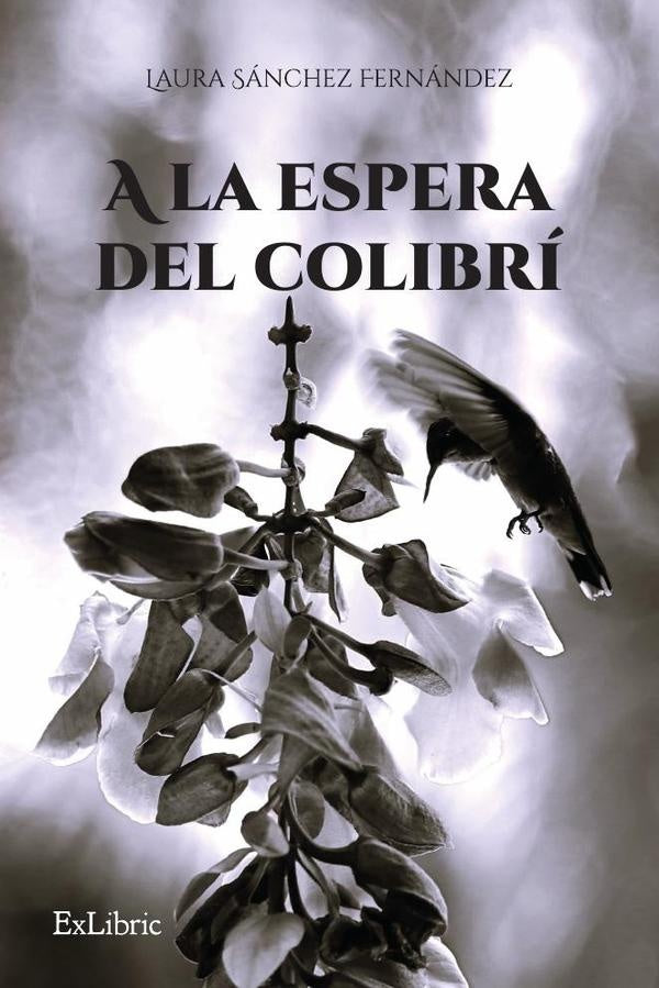 A la espera del colibri | LauraSanchez Fernandez