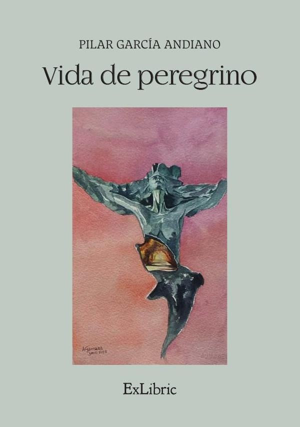 Vida de peregrino | PilarGarcia Andiano