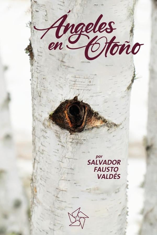 angeles en oto?o | Salvador Fausto Valdes