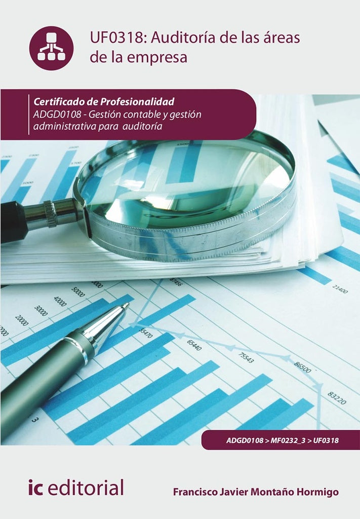 Auditoria de las areas de la empresa. ADGD0108 - Gestion contable y gestion administrativa para audi | Francisco Javier Monta?o Hormigo