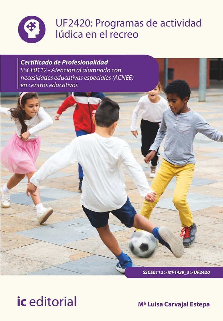 Programas de actividad ludica en el recreo. SSCE0112 - Atencion al alumnado con necesidades educativ | M? Luisa Carvajal Estepa