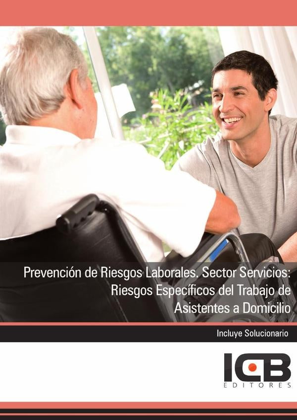 Prevencion de Riesgos Laborales. Sector Servicios: Riesgos Especificos del Trabajo de Asistentes a D | Editores ICB