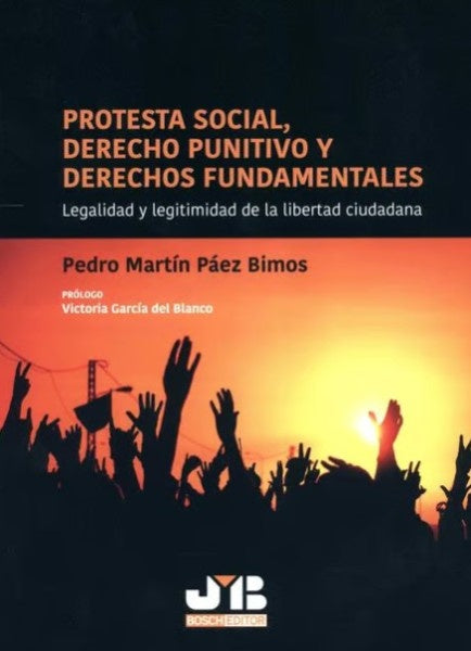 Protesta social, Derecho punitivo y derechos fundamentales | Pedro Martin Paez Bimos
