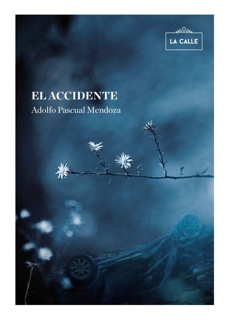 El accidente | Adolfo Pascual Mendoza