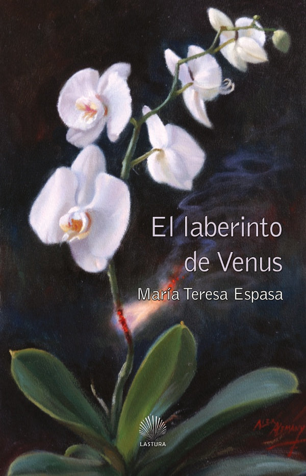 El laberinto de venus | MariaTeresa Espasa