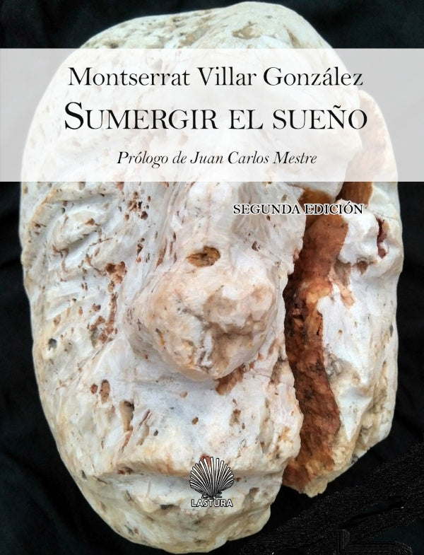Sumergir el sue?o / sulagar o so?o | MONTSERRAT VILLAR