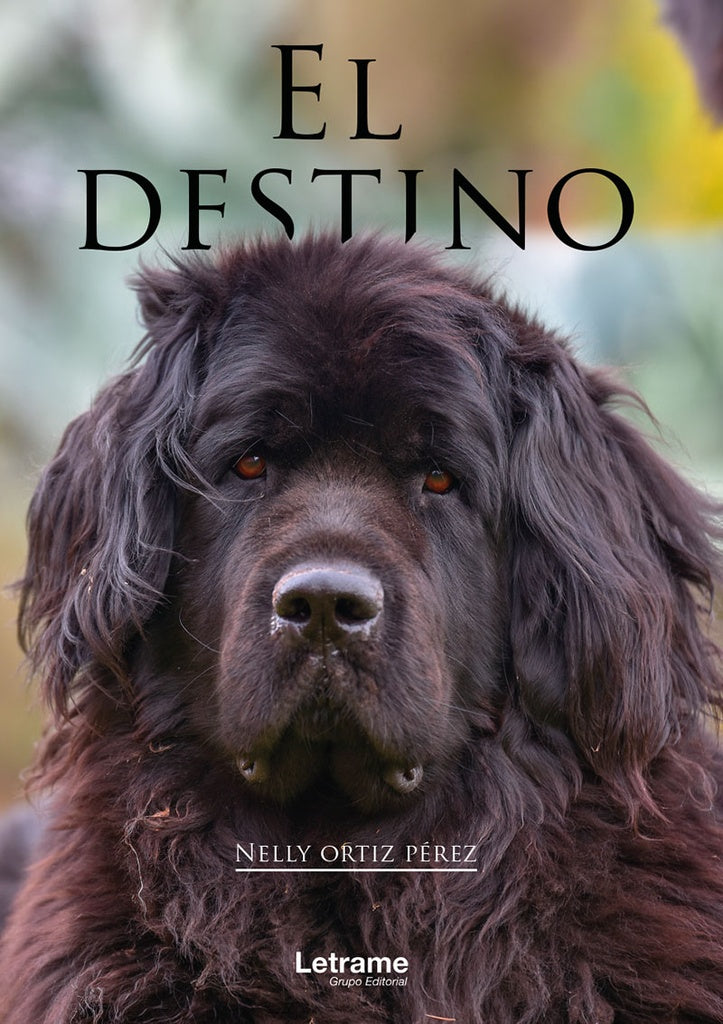 El destino | Nelly Ortiz Perez