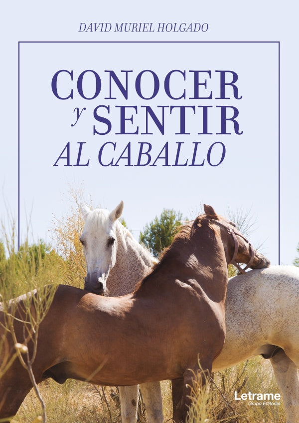 Conocer y sentir al caballo | David Muriel Holgado