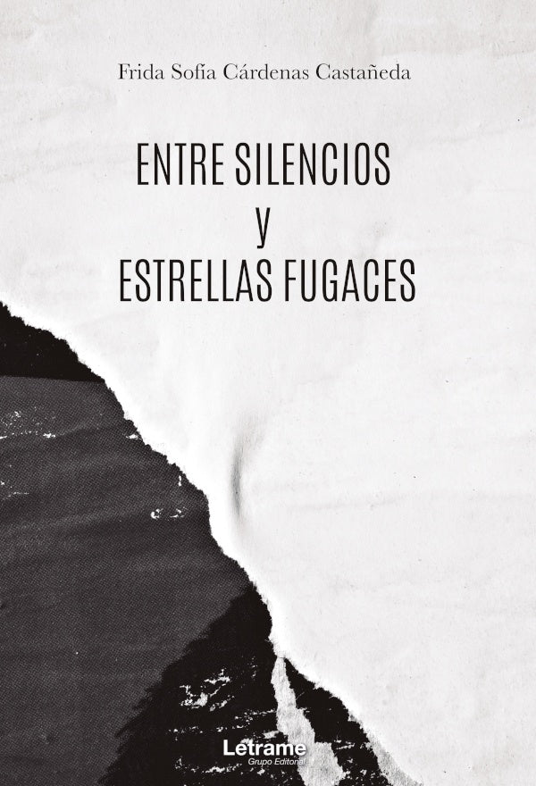 Entre silencios y estrellas fugaces | Frida Sofia Cardenas Casta?eda