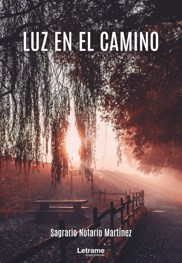 Luz en el camino | Sagrario Notario Martinez