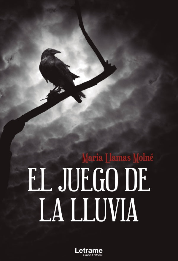 El juego de la lluvia | Maria Llamas Molne