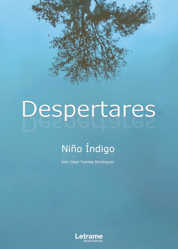 Despertares | Ni?o indigo Julio Cesar Fuentes Dominguez