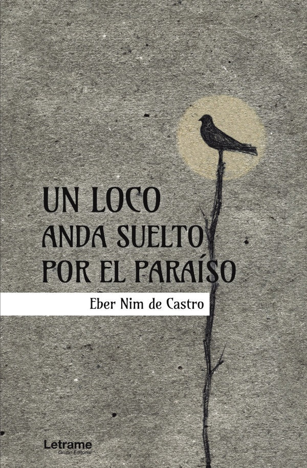 Un loco anda suelto por el paraiso | Nim de Castro Eber