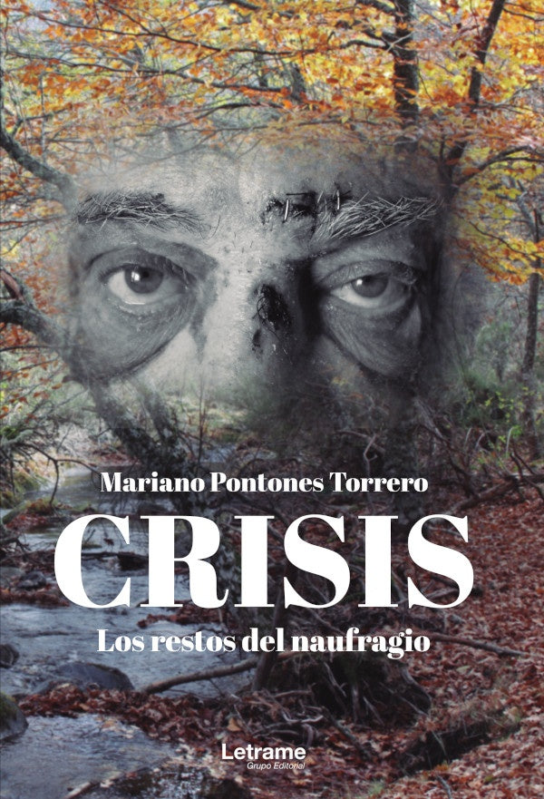 Crisis. Los restos del naufragio | Mariano Pontones Torrero