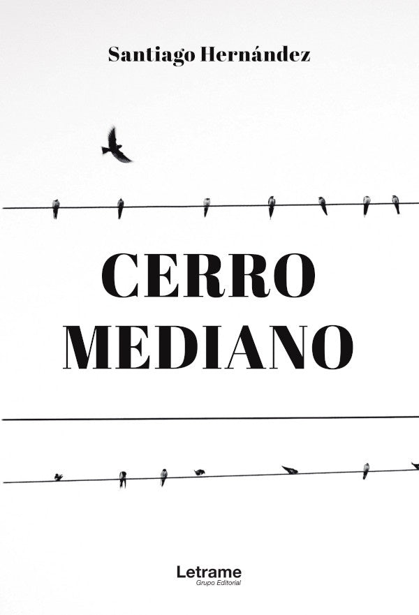 Cerro mediano | Santiago Hernandez
