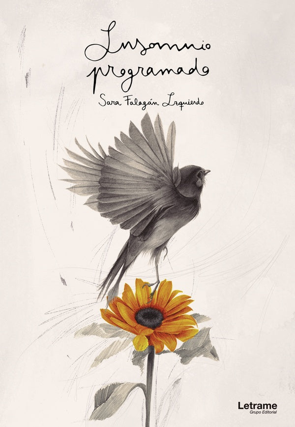 Insomnio programado | Sara Falagan Izquierdo