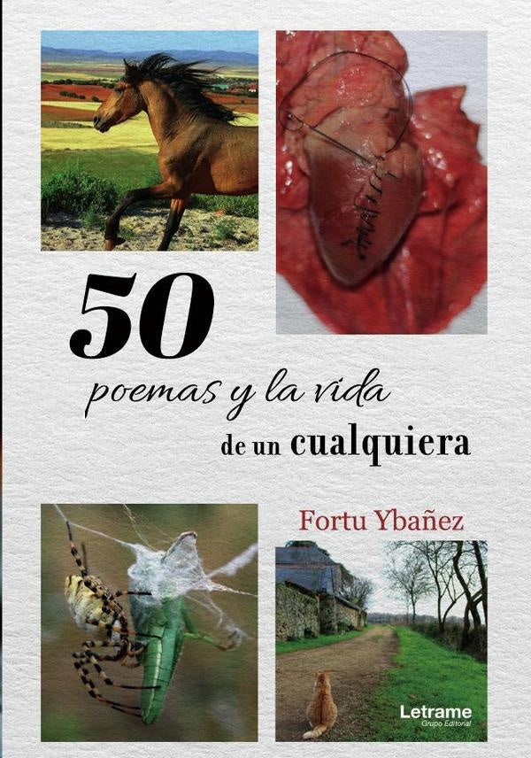 50 Poemas y la vida de un cualquiera | Fortu Yba?ez