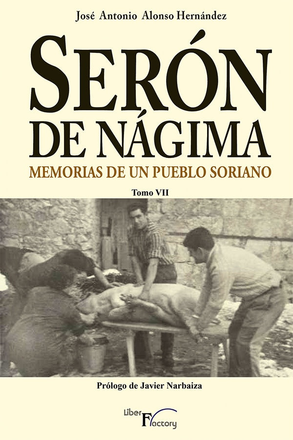 Seron de Nagima. Memorias de un pueblo soriano. Tomo VII | Jose Antonio Alonso Hernandez