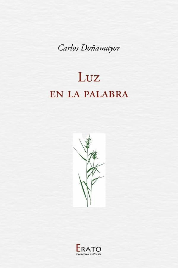 Luz en la palabra | Carlos Do?amayor