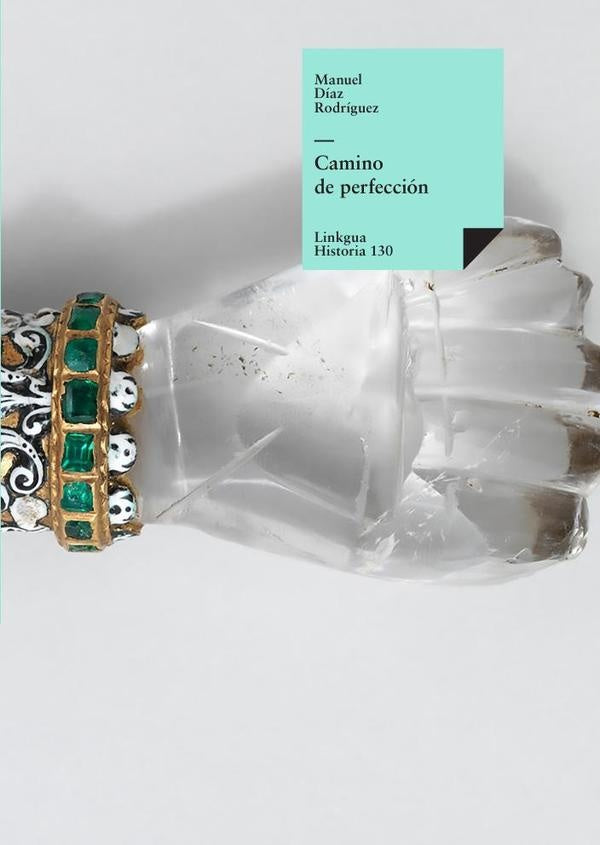 Camino de perfeccion | Manuel Diaz Rodriguez