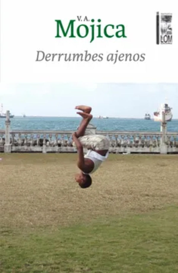 Derrumbes ajenos | Victor Alejandro Mojica