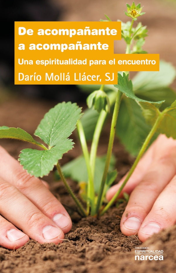 De acompa?ante a acompa?ante | Dario Molla Llacer SJ