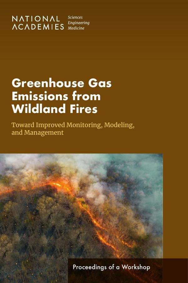 Greenhouse Gas Emissions from Wildland Fires | HEINRICH / AA.VV. HOFFMANN