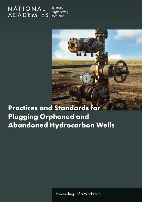 Practices and Standards for Plugging Orphaned and Abandoned Hydrocarbon Wells | HEINRICH / AA.VV. HOFFMANN