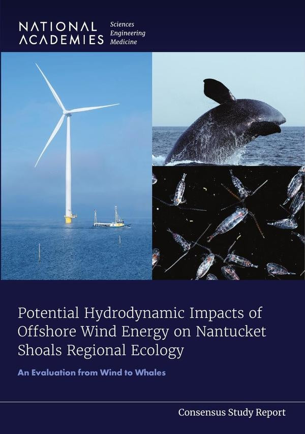 Potential Hydrodynamic Impacts of Offshore Wind Energy on Nantucket Shoals Regional Ecology | HEINRICH / AA.VV. HOFFMANN