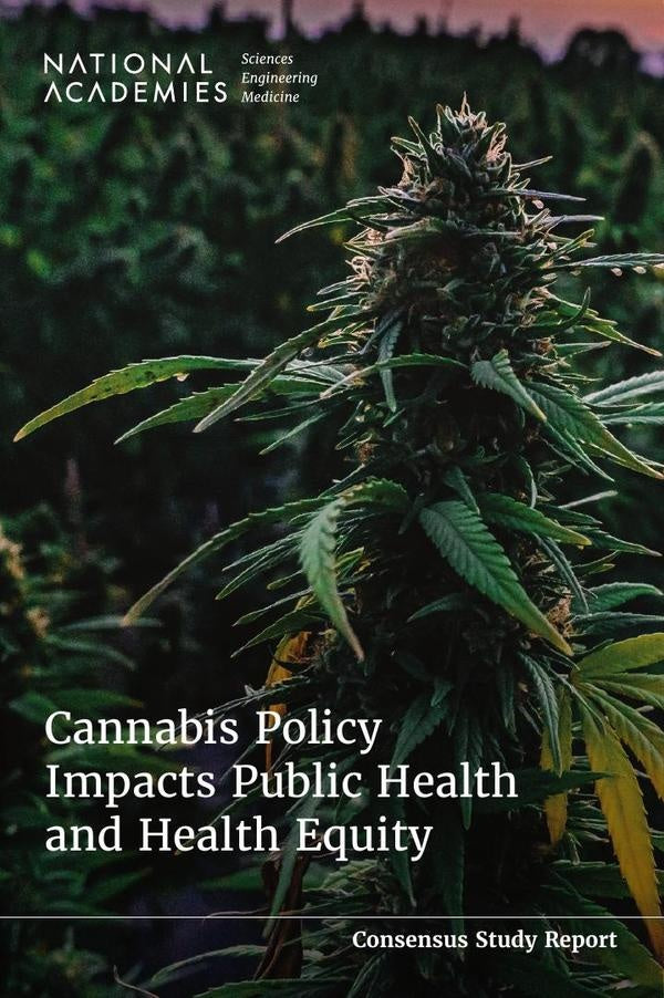 Cannabis Policy Impacts Public Health and Health Equity | HEINRICH / AA.VV. HOFFMANN